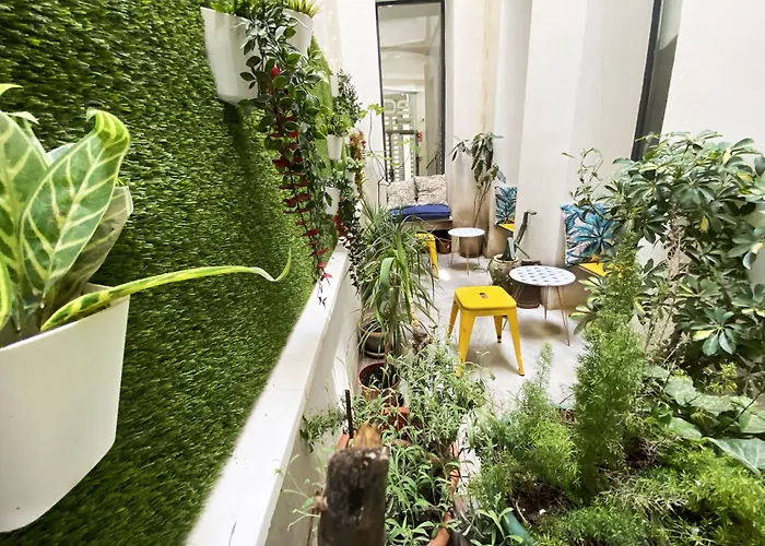 Eco * 格拉纳达